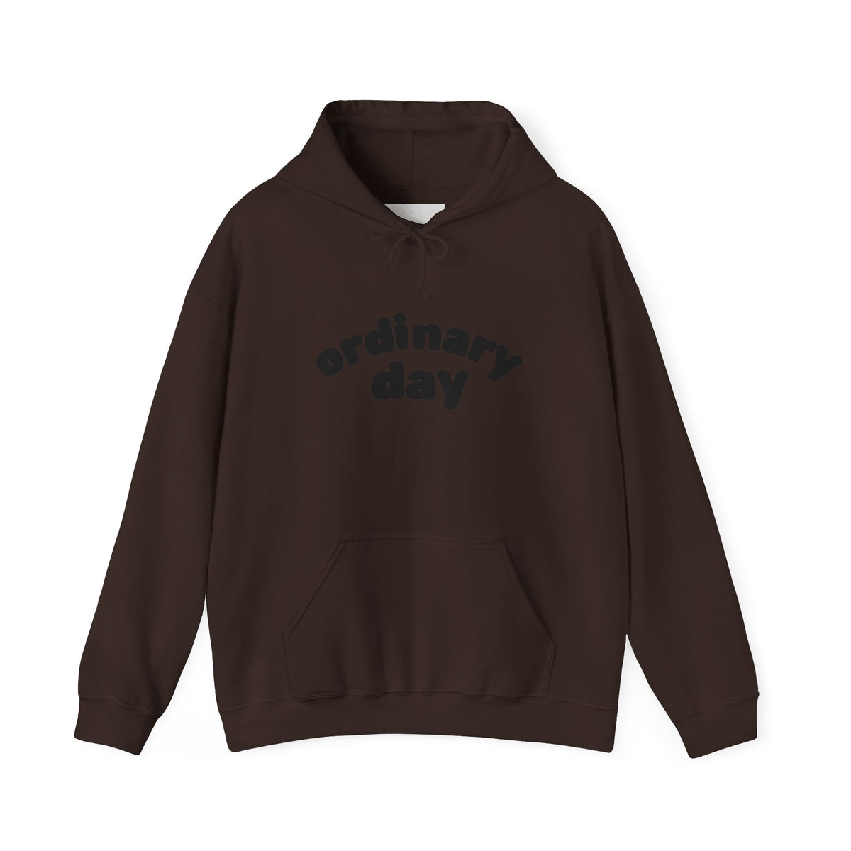 Ordinary Day Graphic Hoodie