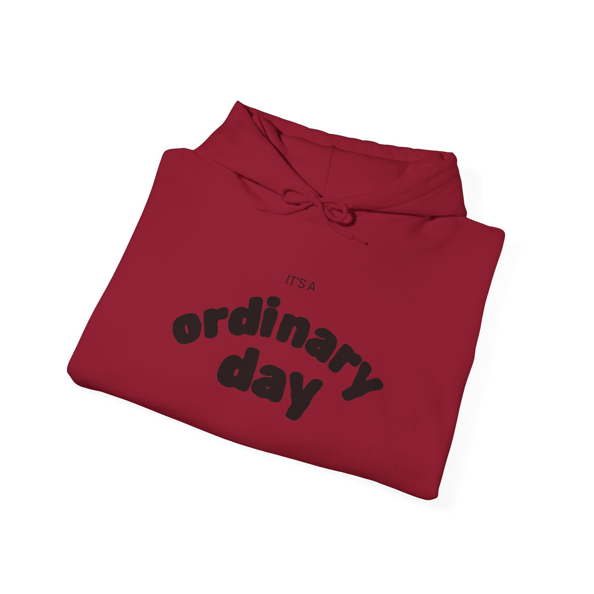 Ordinary Day Graphic Hoodie