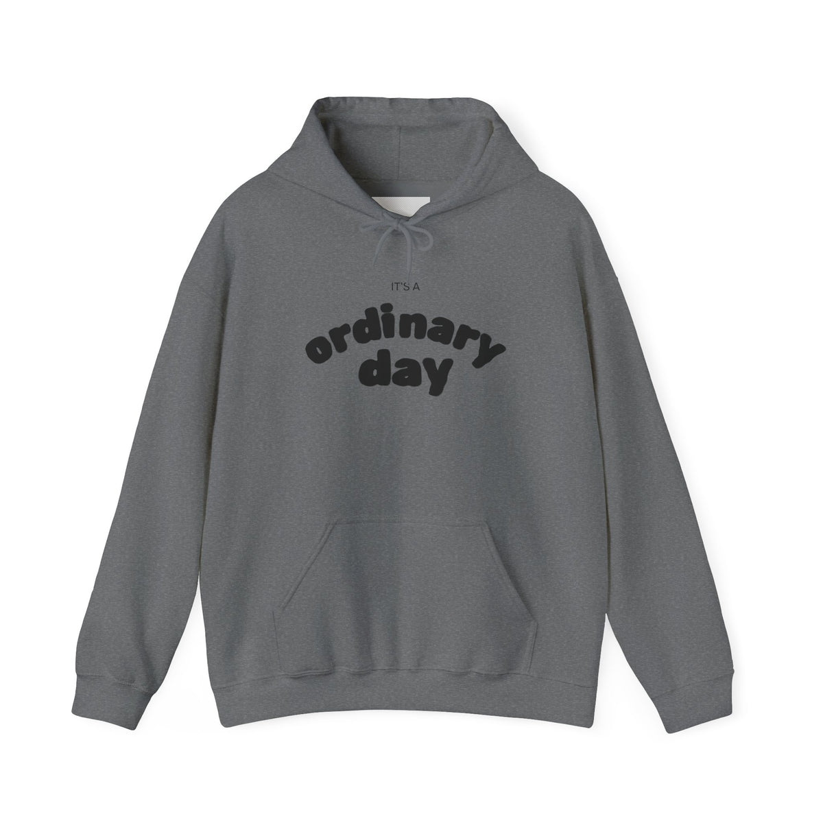 Ordinary Day Graphic Hoodie
