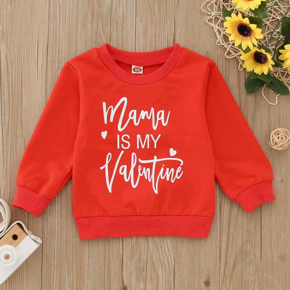 1377ffbed8c878384095a874d879c843