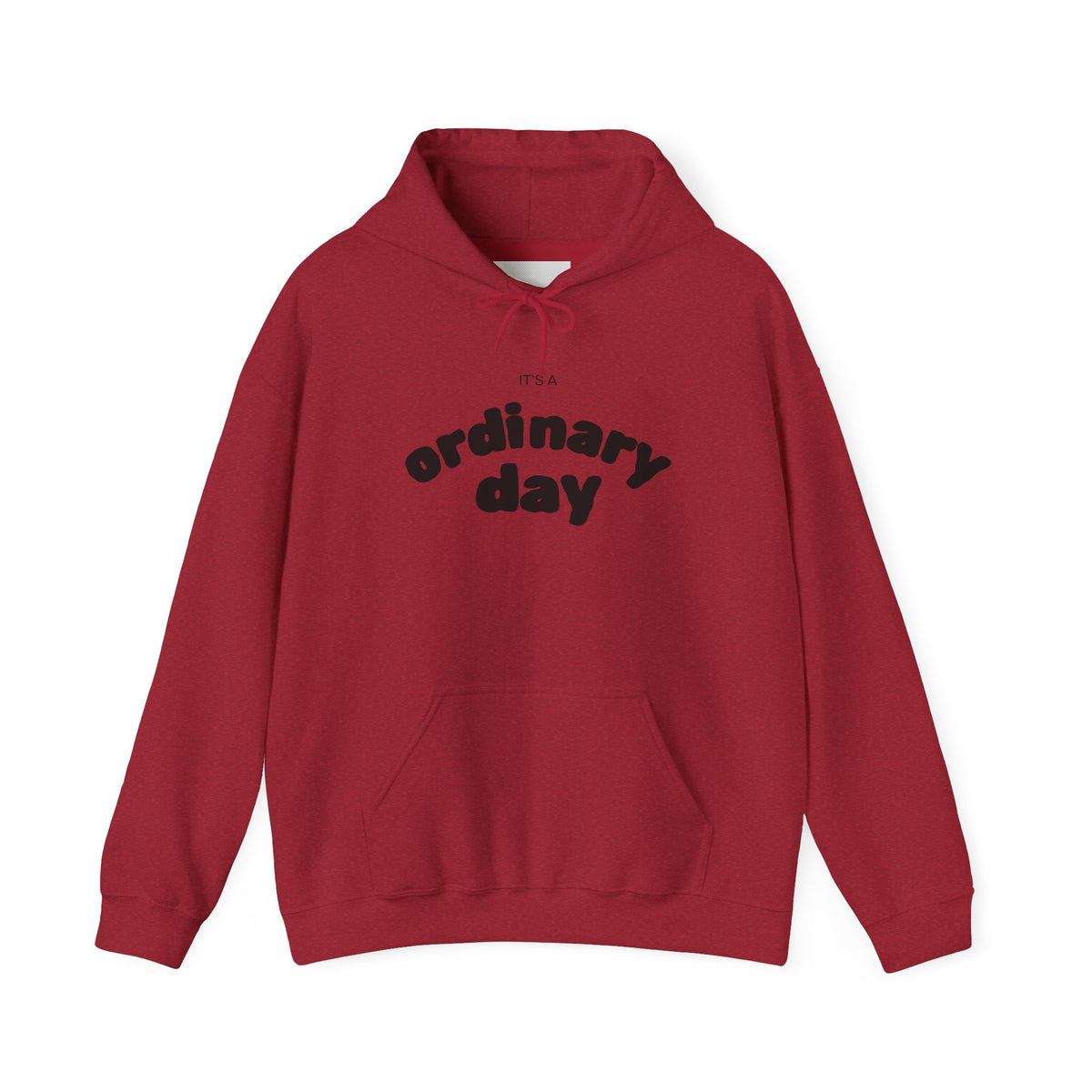 Ordinary Day Graphic Hoodie