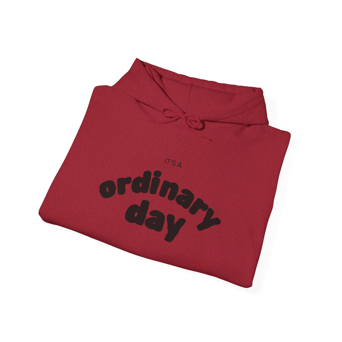 Ordinary Day Graphic Hoodie