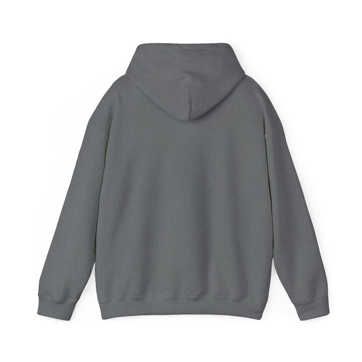 Ordinary Day Graphic Hoodie