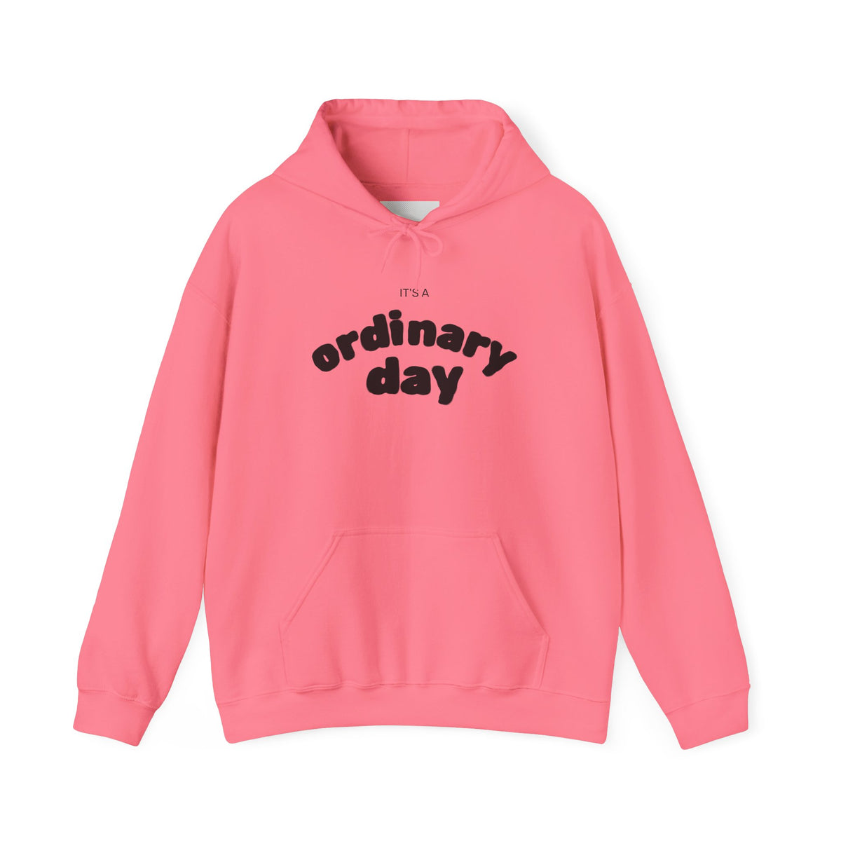 Ordinary Day Graphic Hoodie
