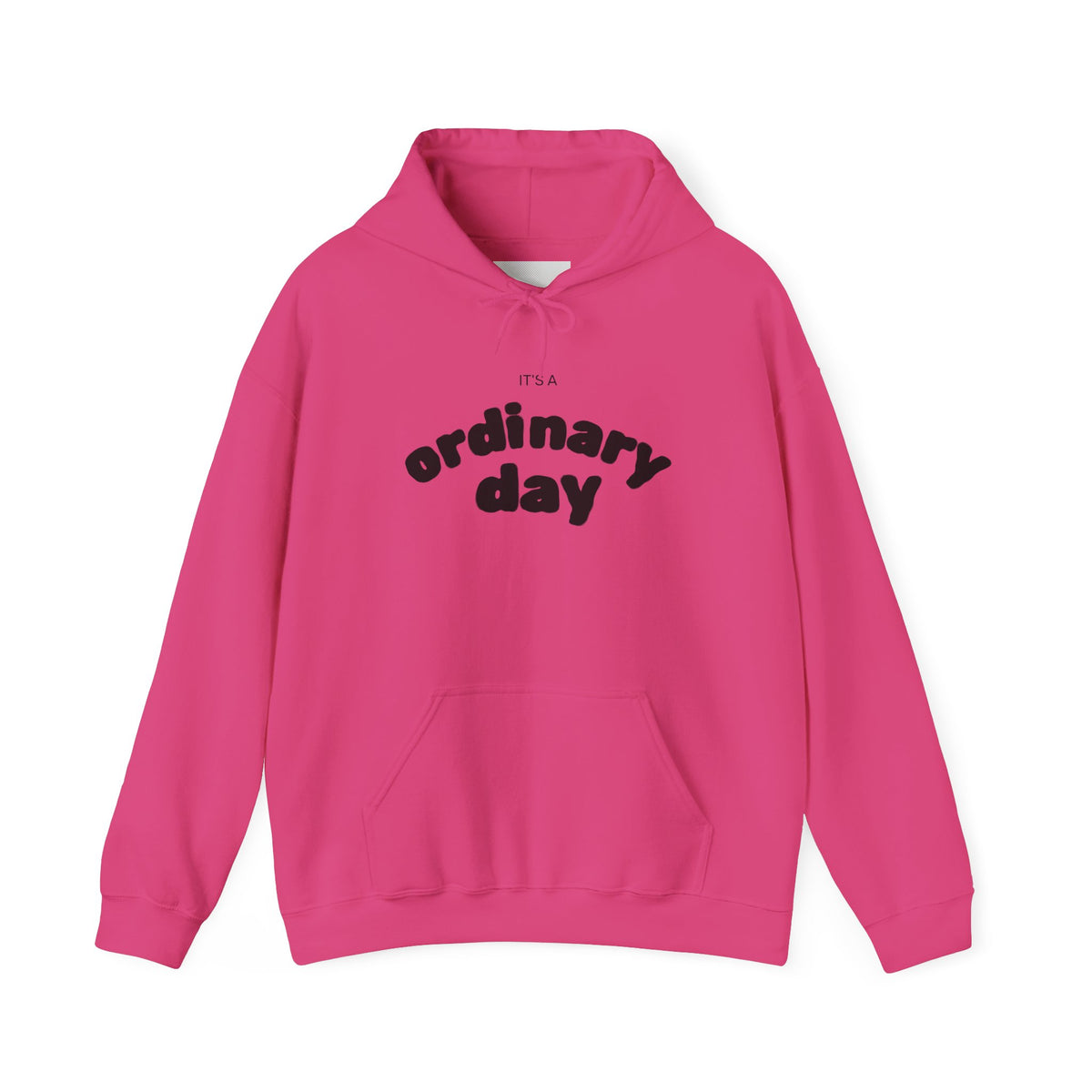 Ordinary Day Graphic Hoodie