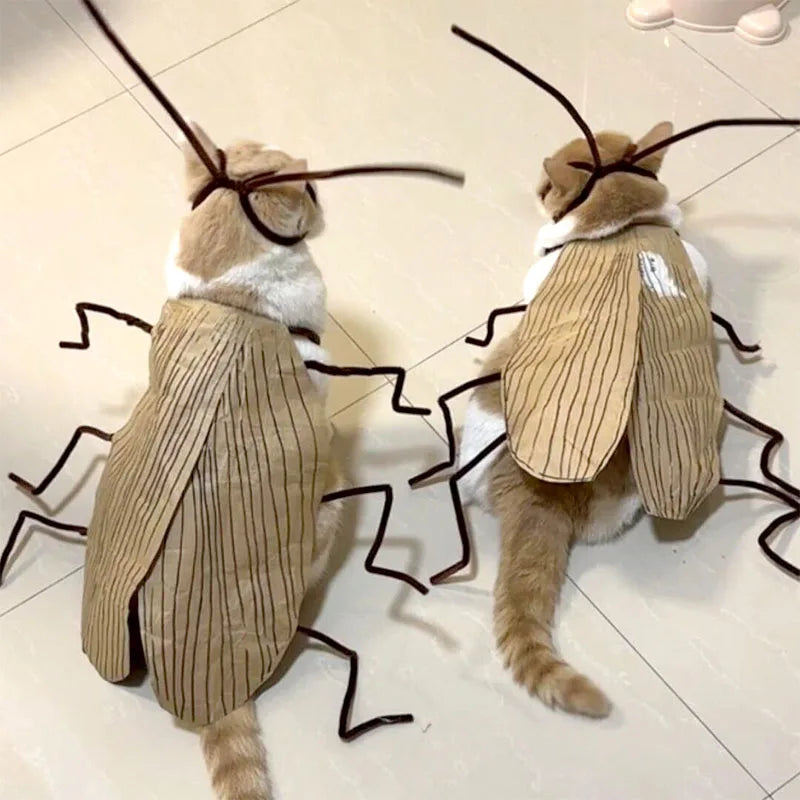 Realistic Cockroach Cat Costume with Detachable Wings Funny Cockroach Clothing for Cat | Cosplay Dress Up DIY Material Pack