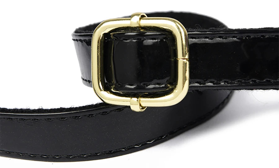 Luxury Designer Ladies Handbags 2025 Female Crossbody Bags Purses And Handbags Sac High Quality Leather Shoulder Bags For Womens