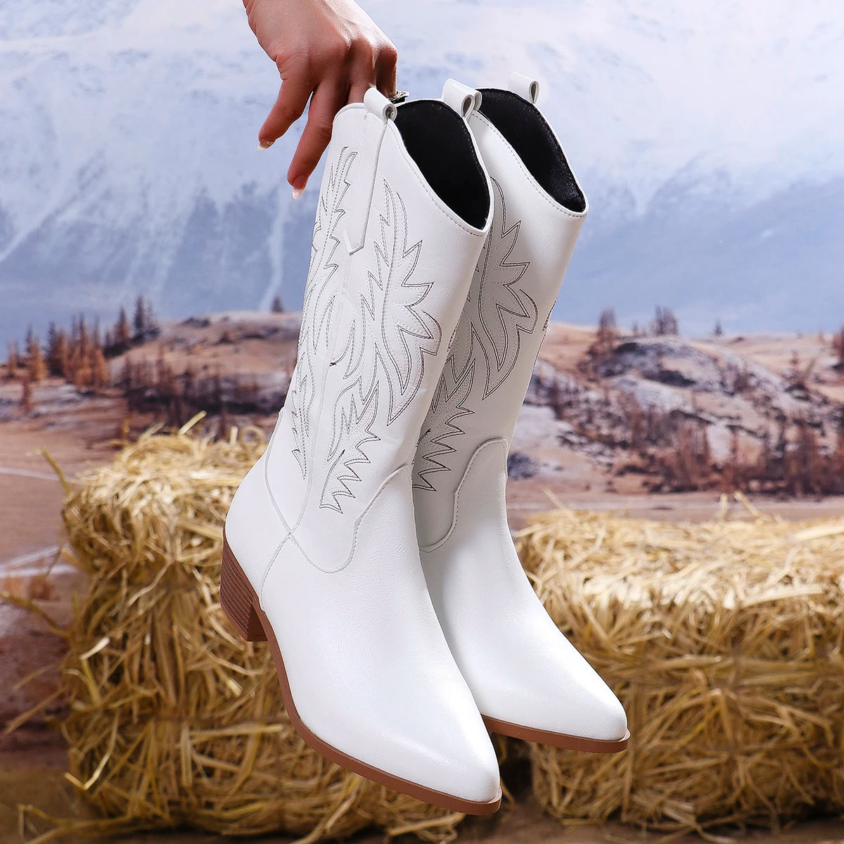 Western Women Boots 2024 Autumn Winter Fashion Chunky Heeled Cowboy Boots Vintage Style Country Western Cowgirl High Heels Boots