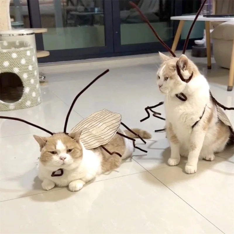 Realistic Cockroach Cat Costume with Detachable Wings Funny Cockroach Clothing for Cat | Cosplay Dress Up DIY Material Pack